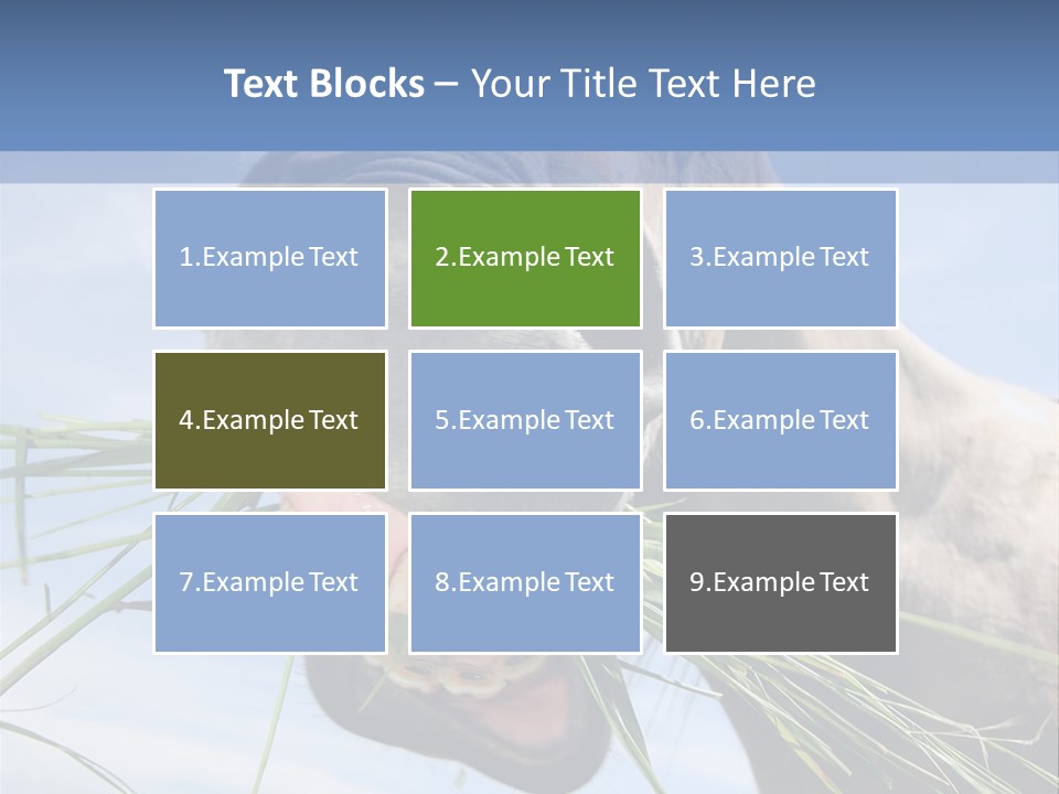 A Horse Is Eating Grass In A Field PowerPoint Template