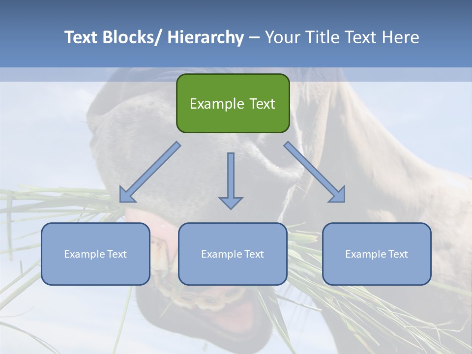 A Horse Is Eating Grass In A Field PowerPoint Template