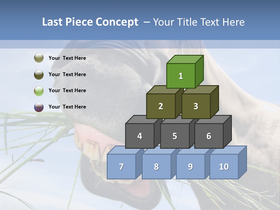 A Horse Is Eating Grass In A Field PowerPoint Template