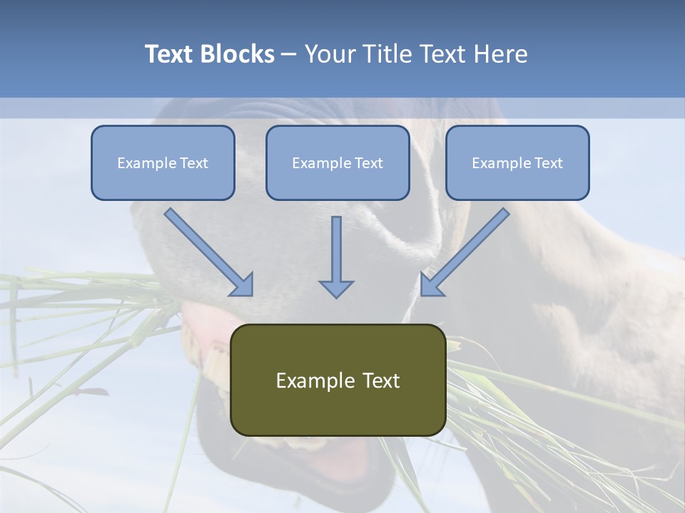 A Horse Is Eating Grass In A Field PowerPoint Template
