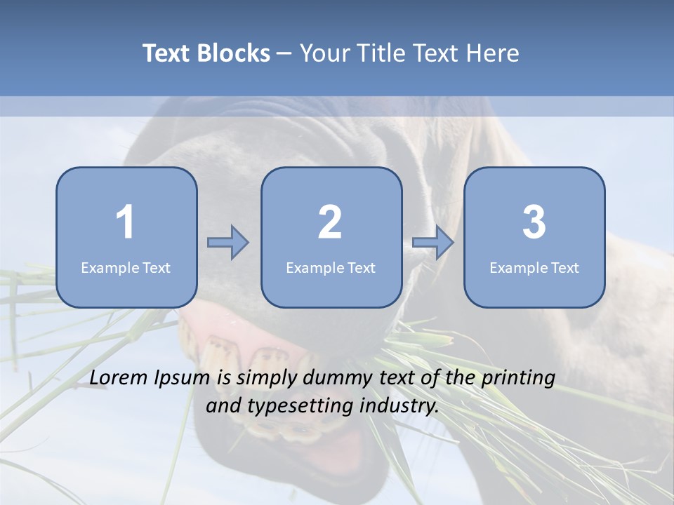 A Horse Is Eating Grass In A Field PowerPoint Template