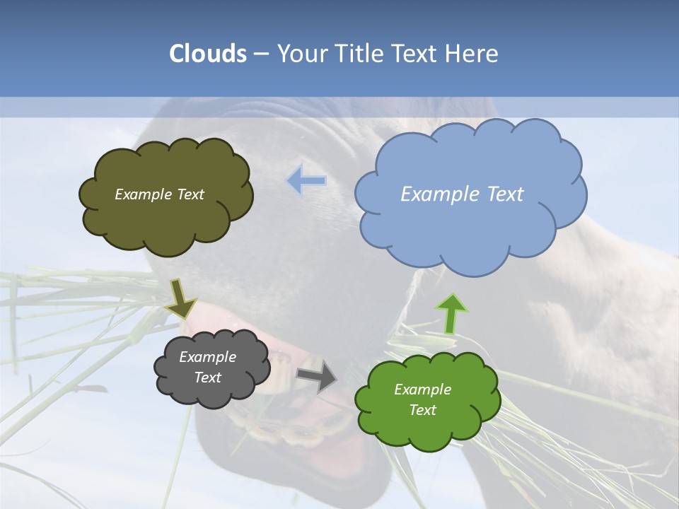A Horse Is Eating Grass In A Field PowerPoint Template