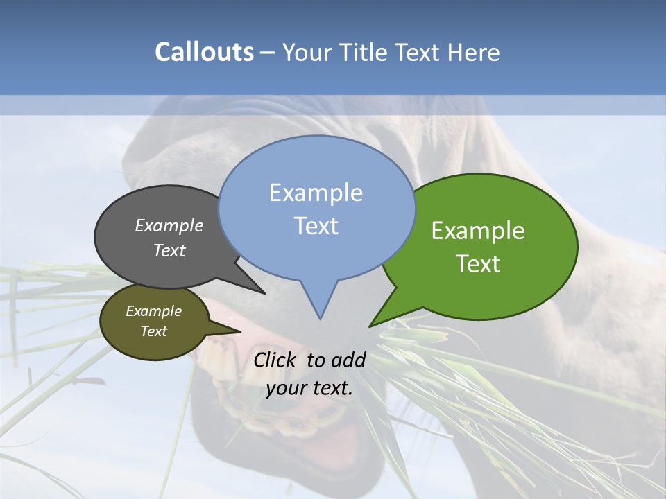 A Horse Is Eating Grass In A Field PowerPoint Template