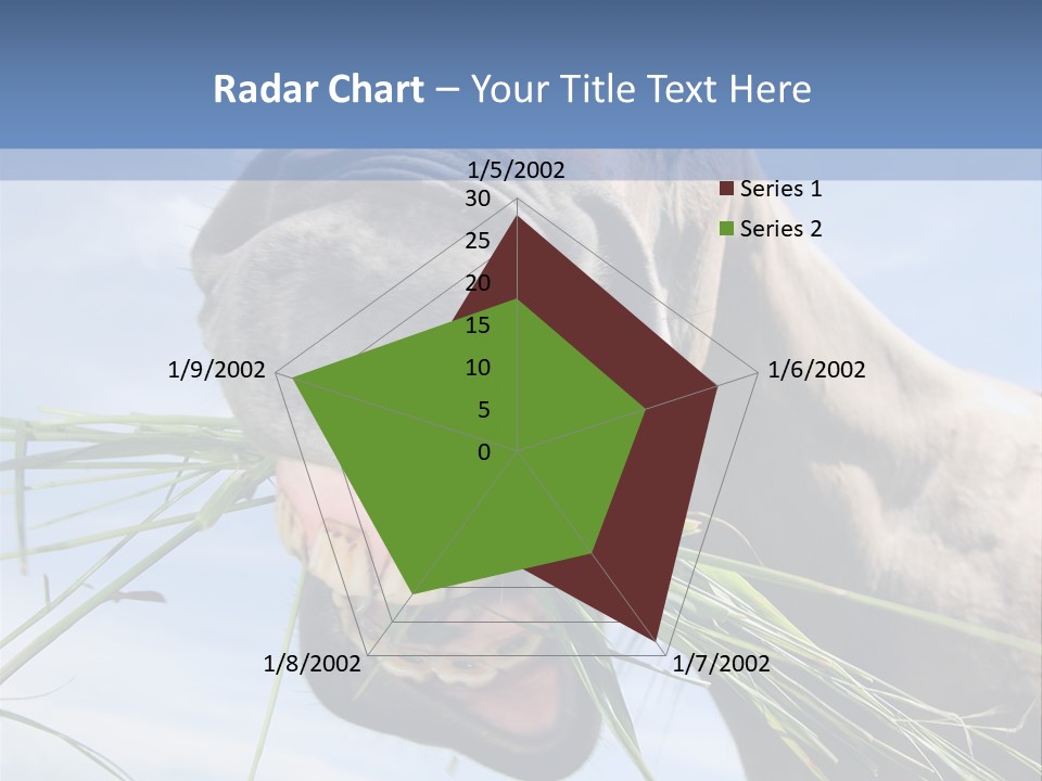 A Horse Is Eating Grass In A Field PowerPoint Template