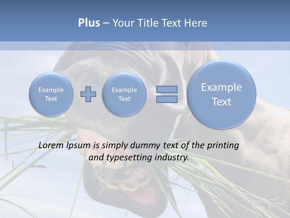 A Horse Is Eating Grass In A Field PowerPoint Template