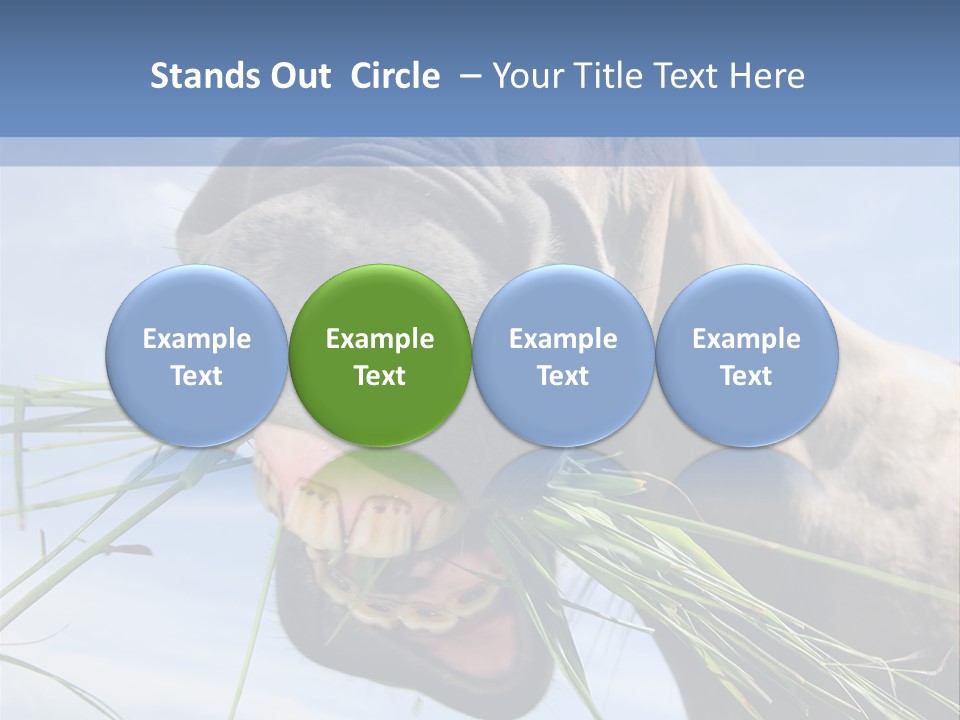 A Horse Is Eating Grass In A Field PowerPoint Template