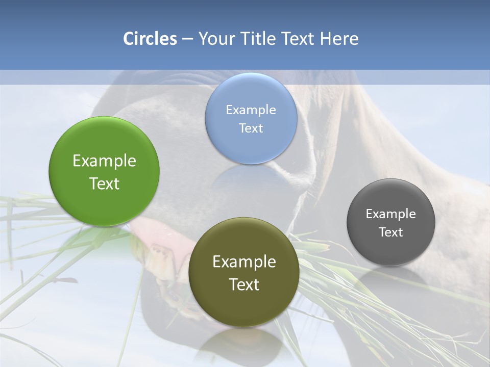 A Horse Is Eating Grass In A Field PowerPoint Template