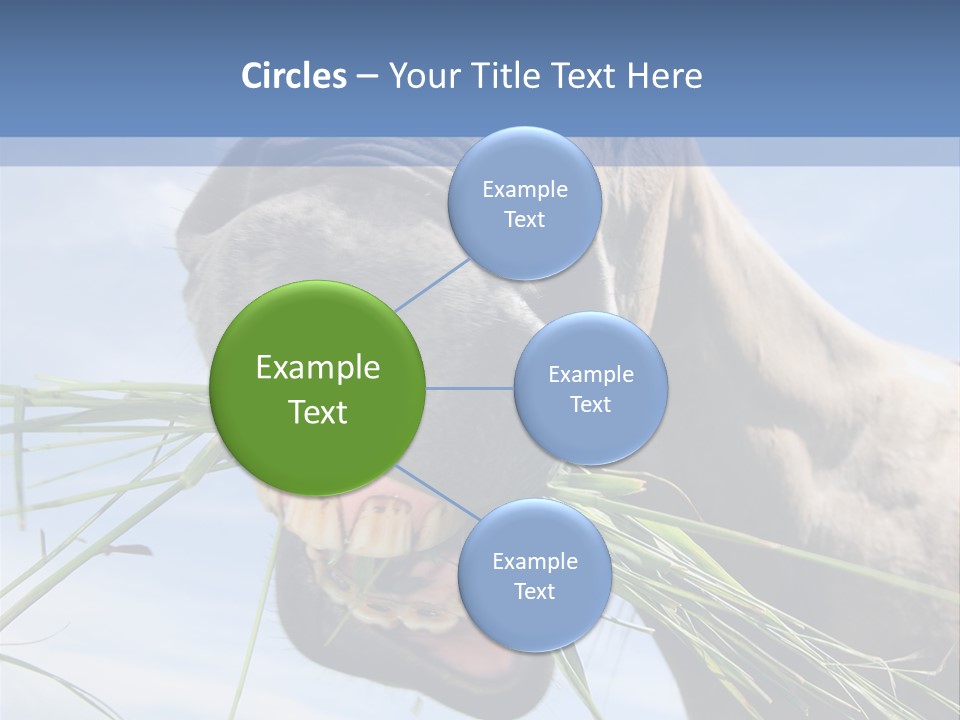 A Horse Is Eating Grass In A Field PowerPoint Template
