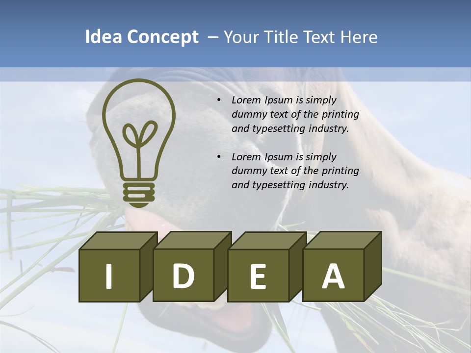 A Horse Is Eating Grass In A Field PowerPoint Template