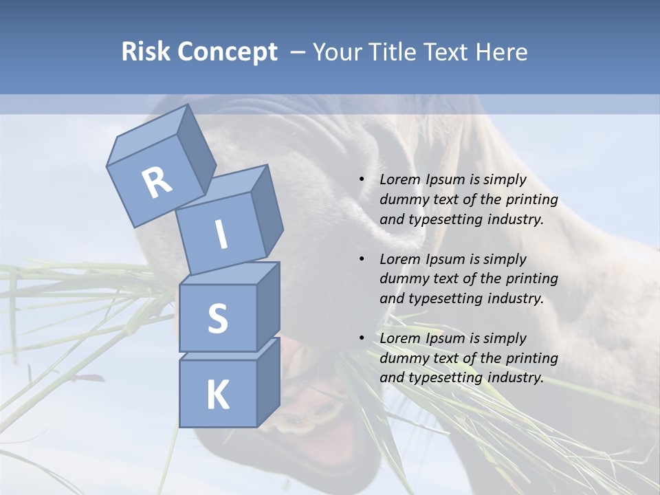 A Horse Is Eating Grass In A Field PowerPoint Template