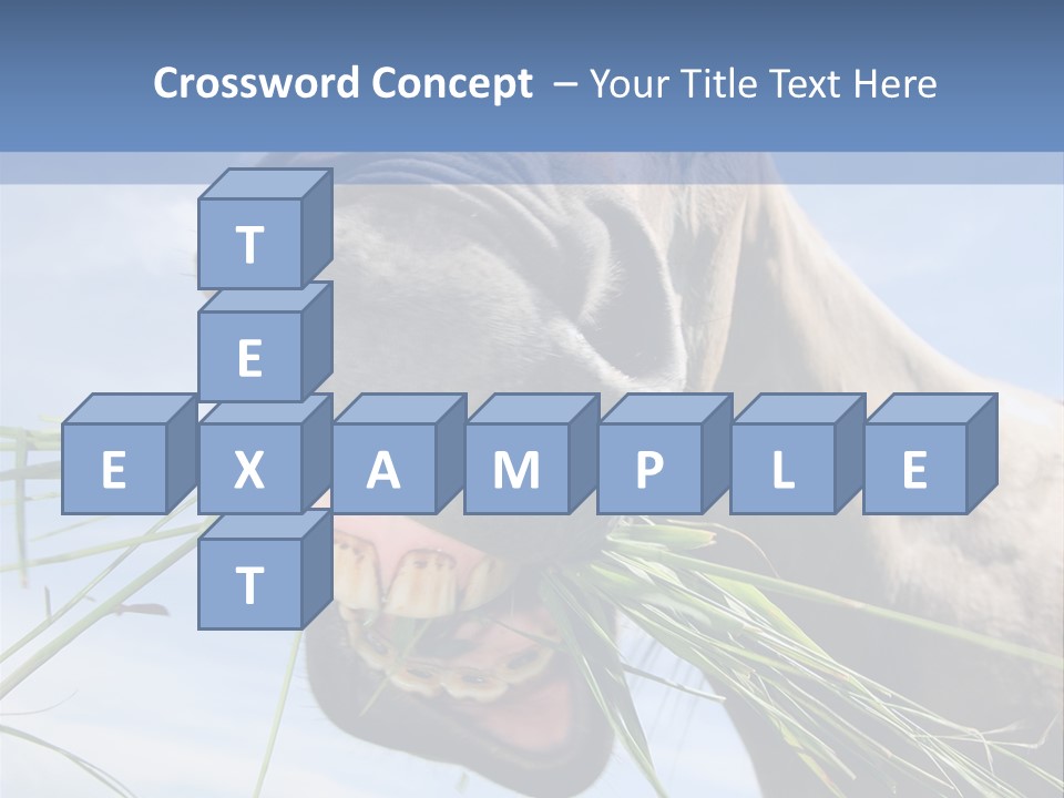 A Horse Is Eating Grass In A Field PowerPoint Template