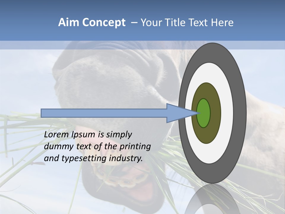 A Horse Is Eating Grass In A Field PowerPoint Template