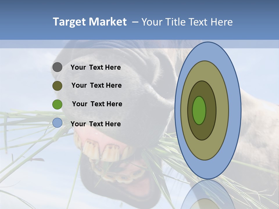 A Horse Is Eating Grass In A Field PowerPoint Template