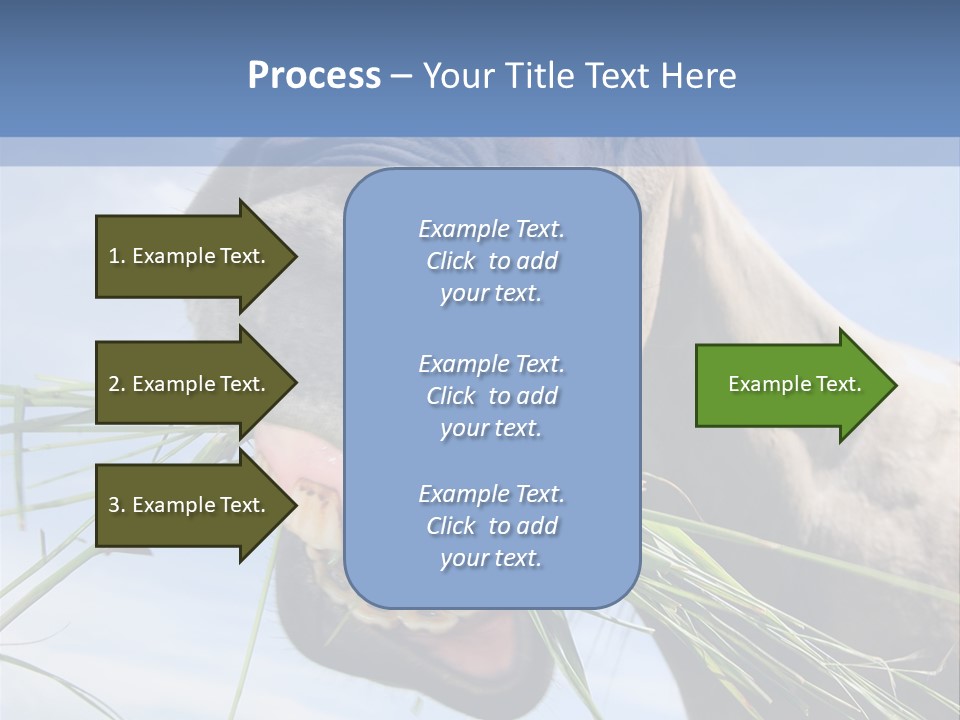 A Horse Is Eating Grass In A Field PowerPoint Template