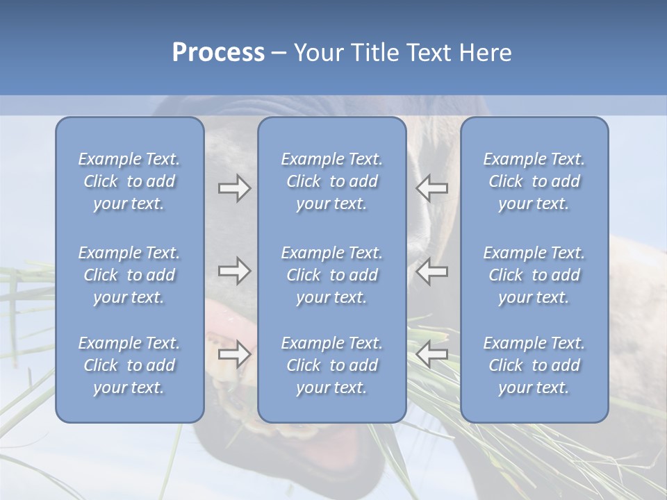 A Horse Is Eating Grass In A Field PowerPoint Template