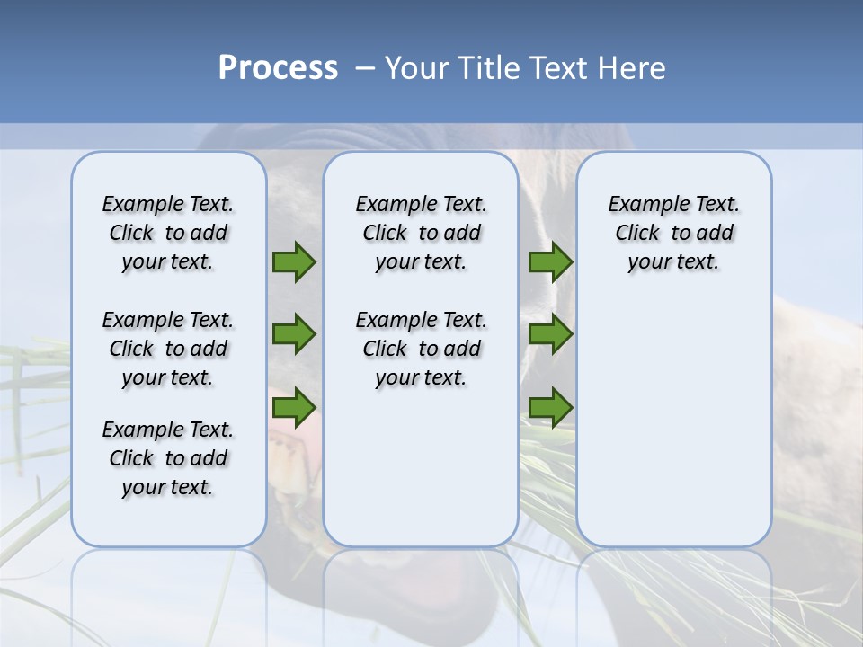 A Horse Is Eating Grass In A Field PowerPoint Template