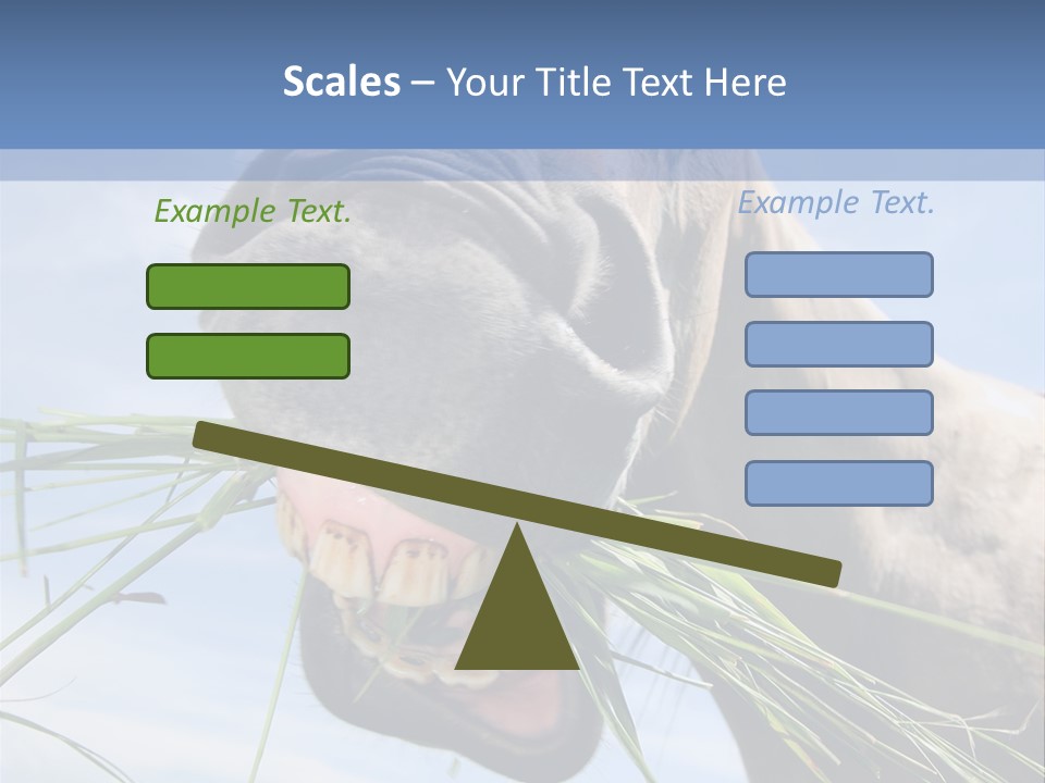A Horse Is Eating Grass In A Field PowerPoint Template