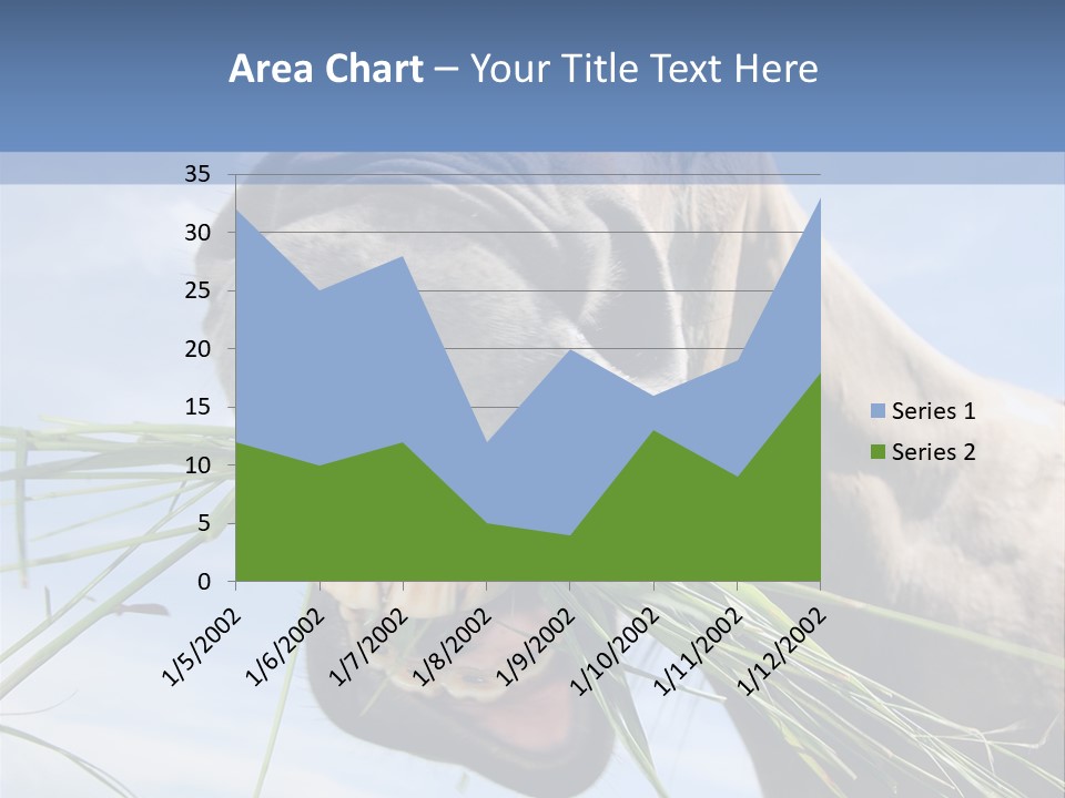 A Horse Is Eating Grass In A Field PowerPoint Template