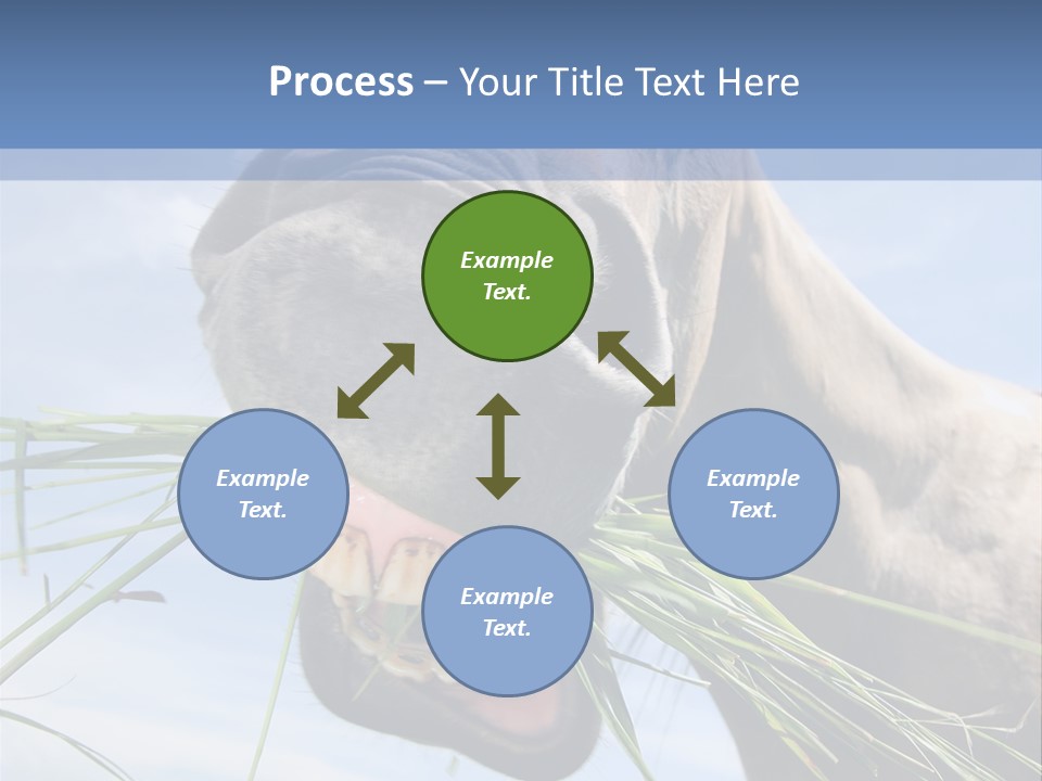 A Horse Is Eating Grass In A Field PowerPoint Template