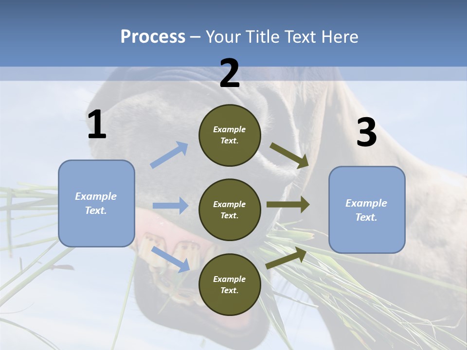 A Horse Is Eating Grass In A Field PowerPoint Template