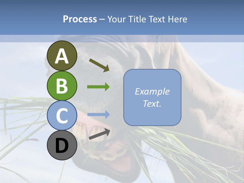 A Horse Is Eating Grass In A Field PowerPoint Template