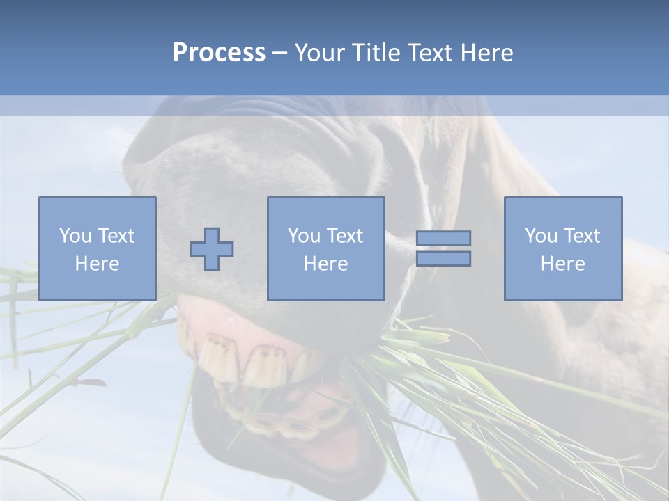 A Horse Is Eating Grass In A Field PowerPoint Template