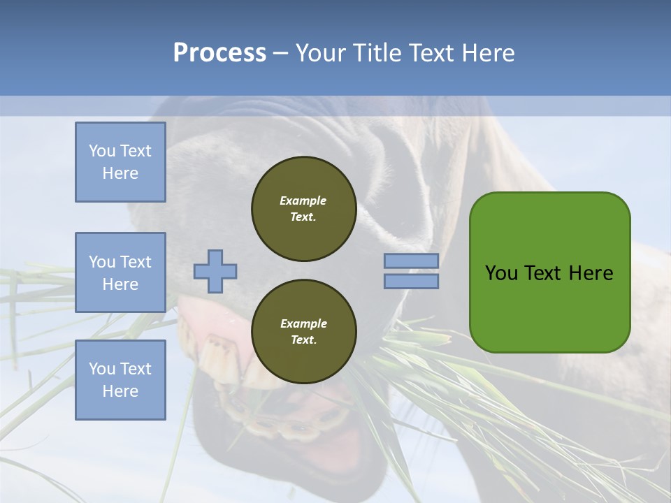 A Horse Is Eating Grass In A Field PowerPoint Template