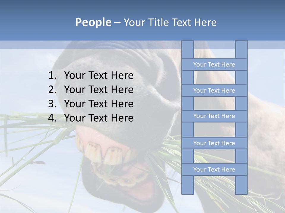 A Horse Is Eating Grass In A Field PowerPoint Template