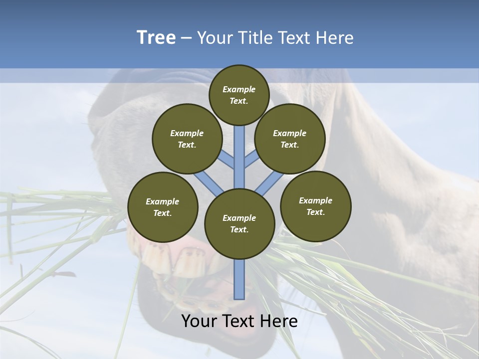 A Horse Is Eating Grass In A Field PowerPoint Template