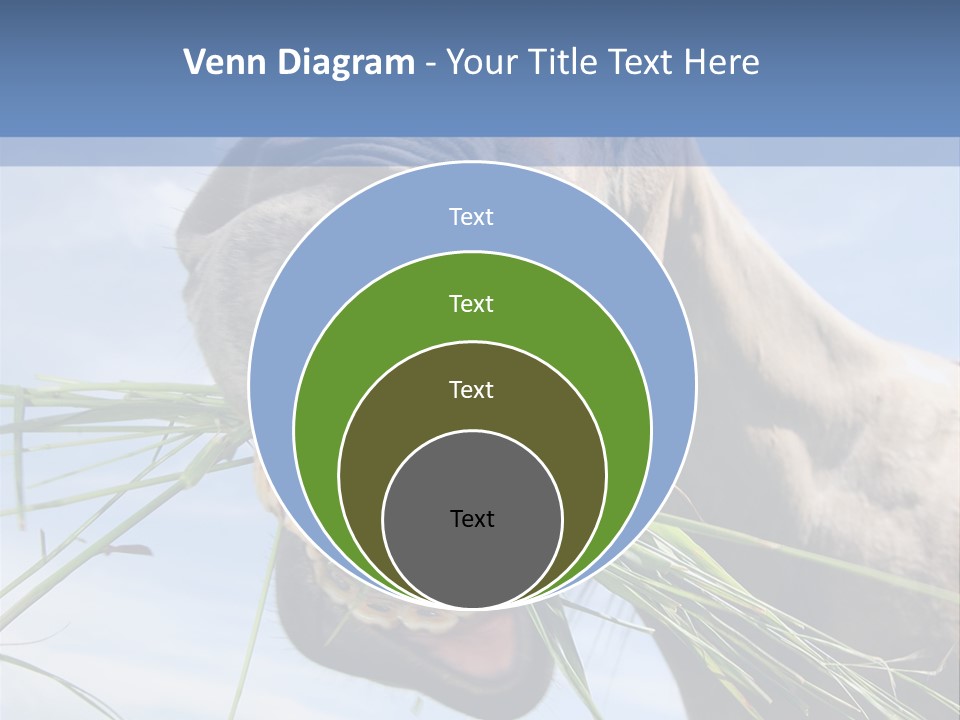 A Horse Is Eating Grass In A Field PowerPoint Template
