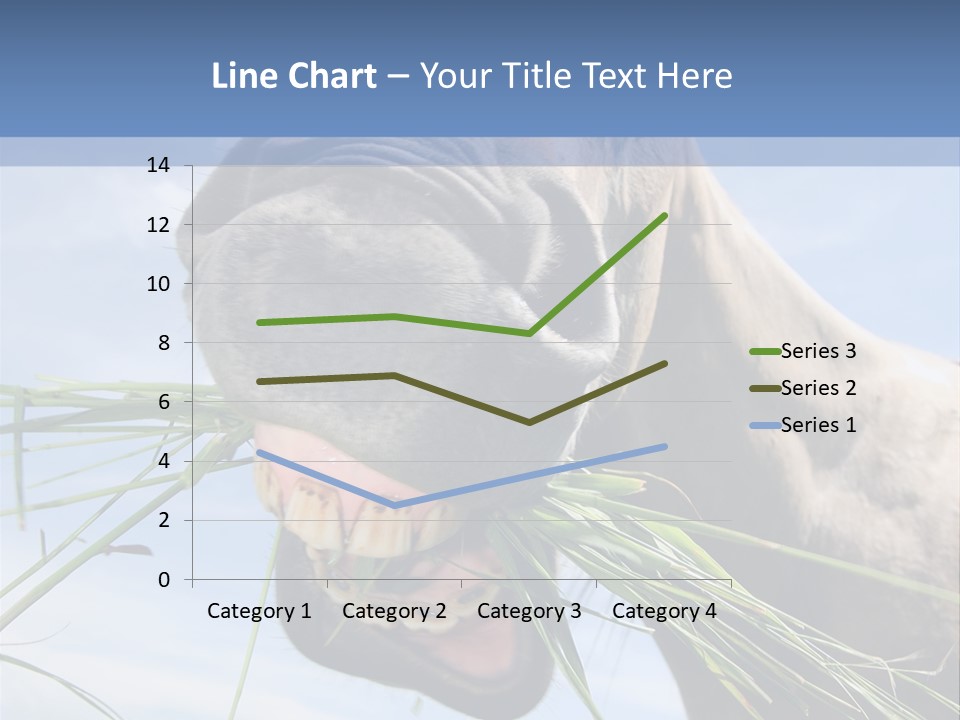 A Horse Is Eating Grass In A Field PowerPoint Template