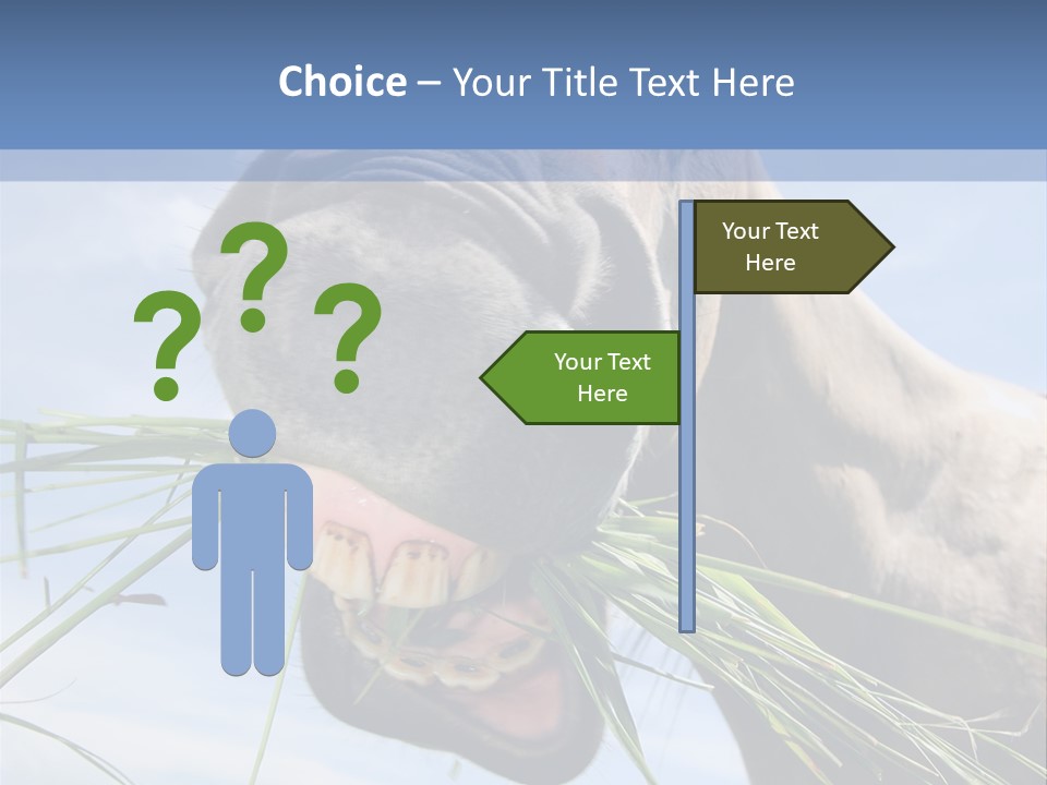 A Horse Is Eating Grass In A Field PowerPoint Template