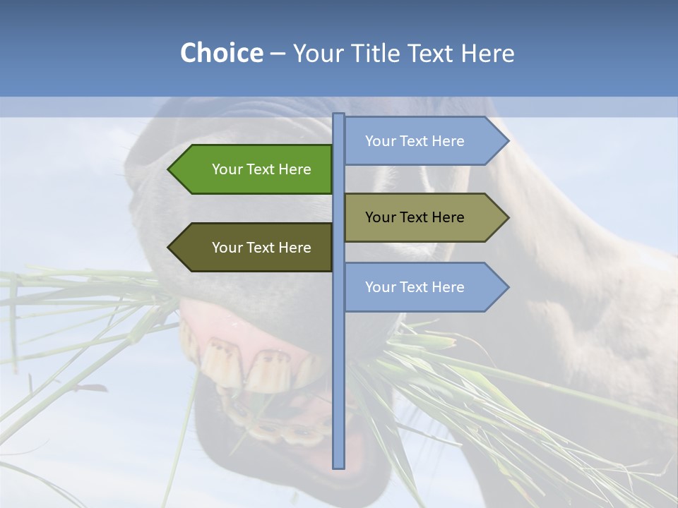 A Horse Is Eating Grass In A Field PowerPoint Template