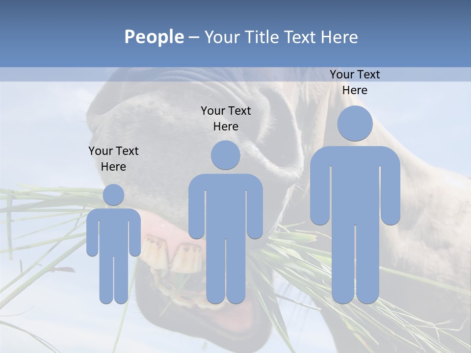 A Horse Is Eating Grass In A Field PowerPoint Template