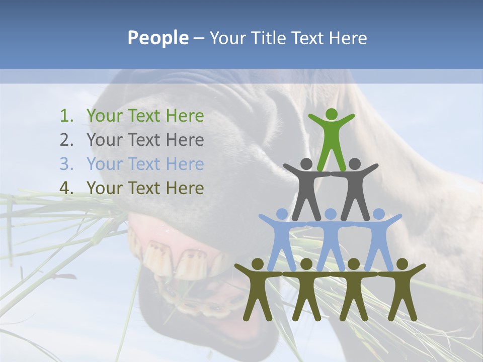 A Horse Is Eating Grass In A Field PowerPoint Template