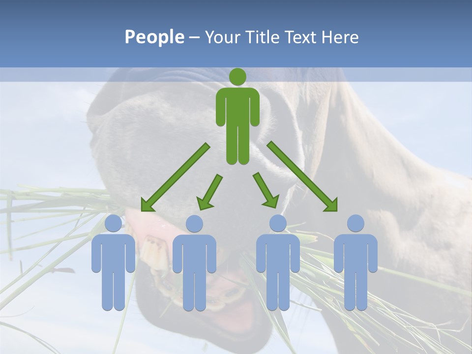 A Horse Is Eating Grass In A Field PowerPoint Template