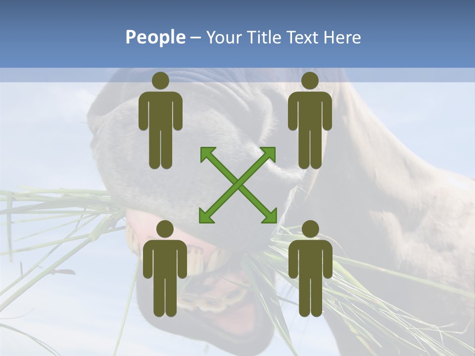 A Horse Is Eating Grass In A Field PowerPoint Template