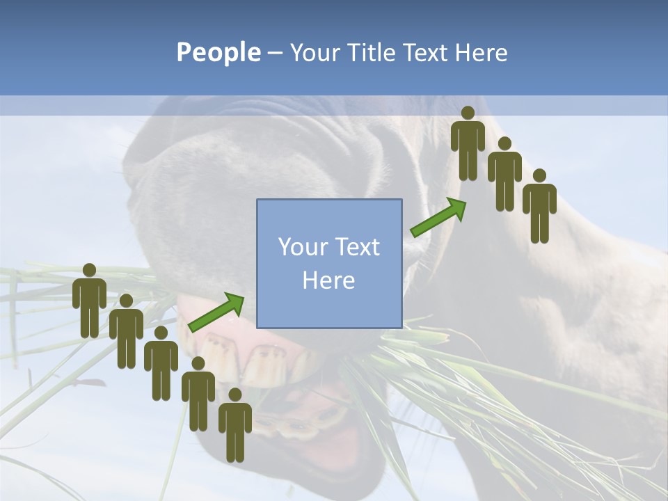 A Horse Is Eating Grass In A Field PowerPoint Template