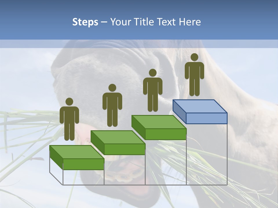 A Horse Is Eating Grass In A Field PowerPoint Template