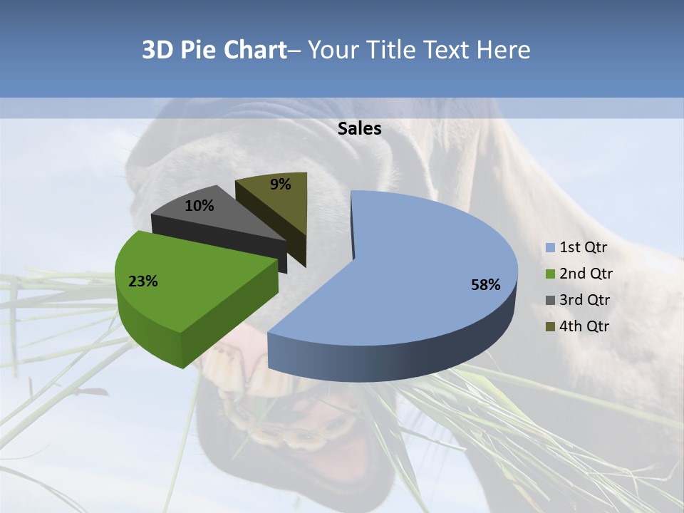 A Horse Is Eating Grass In A Field PowerPoint Template