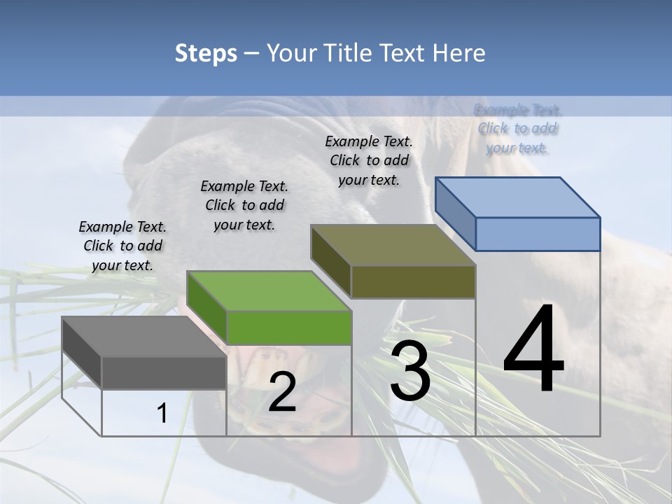 A Horse Is Eating Grass In A Field PowerPoint Template