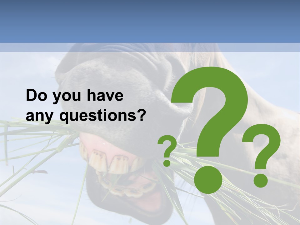 A Horse Is Eating Grass In A Field PowerPoint Template