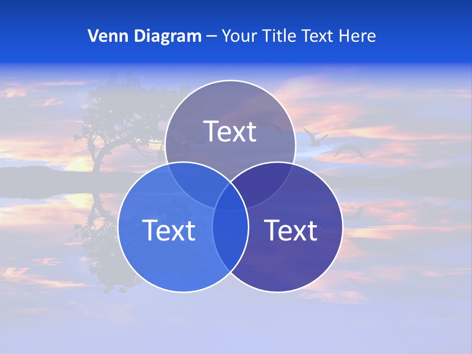 Tropical Fishing Sun PowerPoint Template