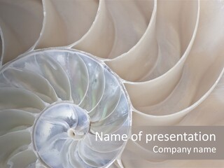 Full Closeup Abstract PowerPoint Template