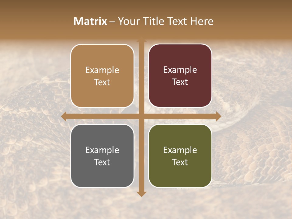 Reptile Venomous Deadly PowerPoint Template