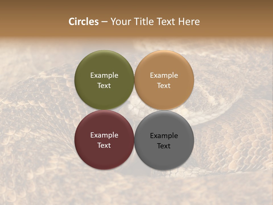 Reptile Venomous Deadly PowerPoint Template