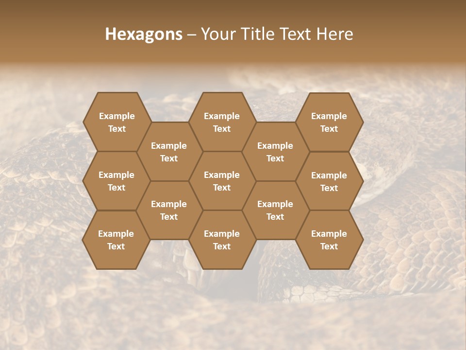 Reptile Venomous Deadly PowerPoint Template