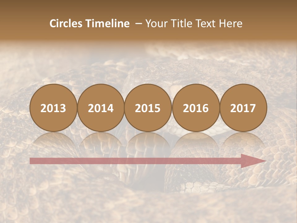 Reptile Venomous Deadly PowerPoint Template