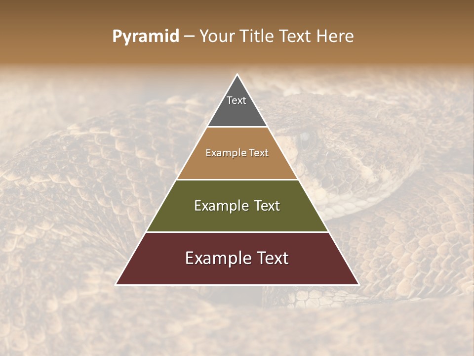 Reptile Venomous Deadly PowerPoint Template