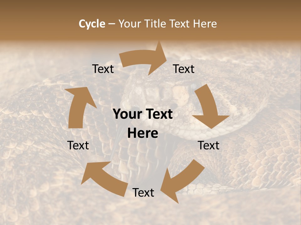 Reptile Venomous Deadly PowerPoint Template